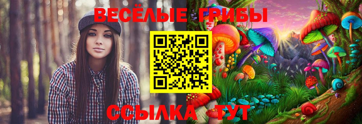 Галлюциногенные грибы мицелий Кумертау